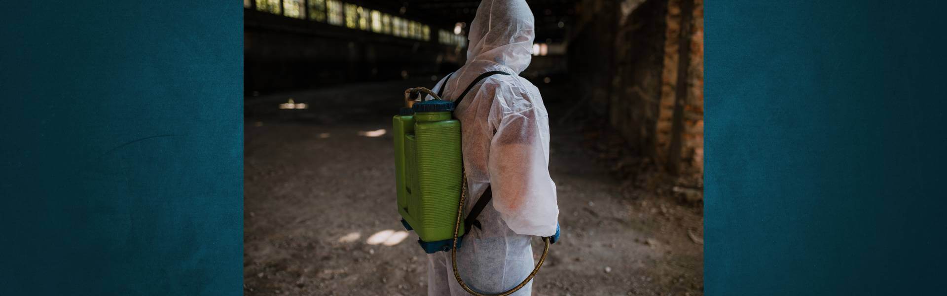 dedetizadora em Campinas de lesma