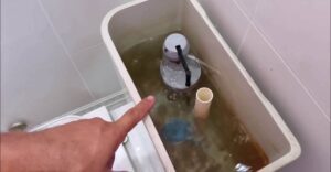 Conserto de Caixa Acoplada em Campinas