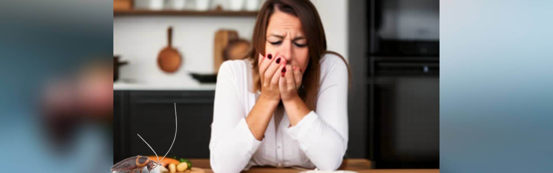 dedetizadora de barata em Campinas