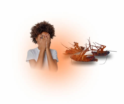 CUPINS ? NUNCA MAIS DEDETIZADORA EM CAMPINAS