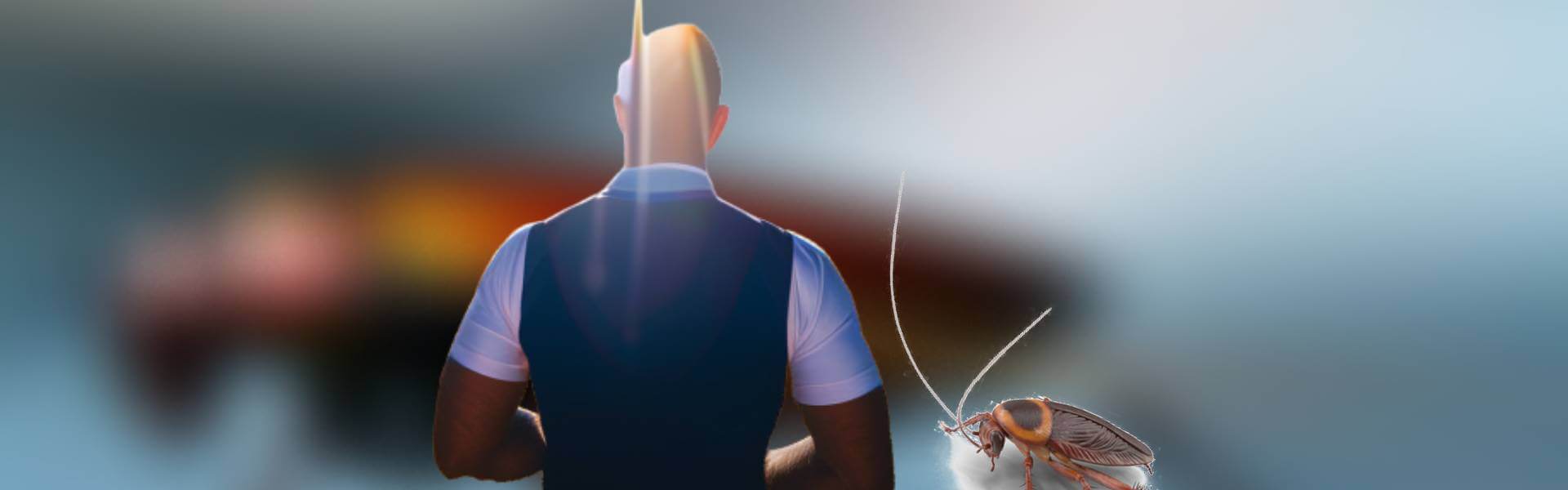 Dedetizadora em Campinas bom preço