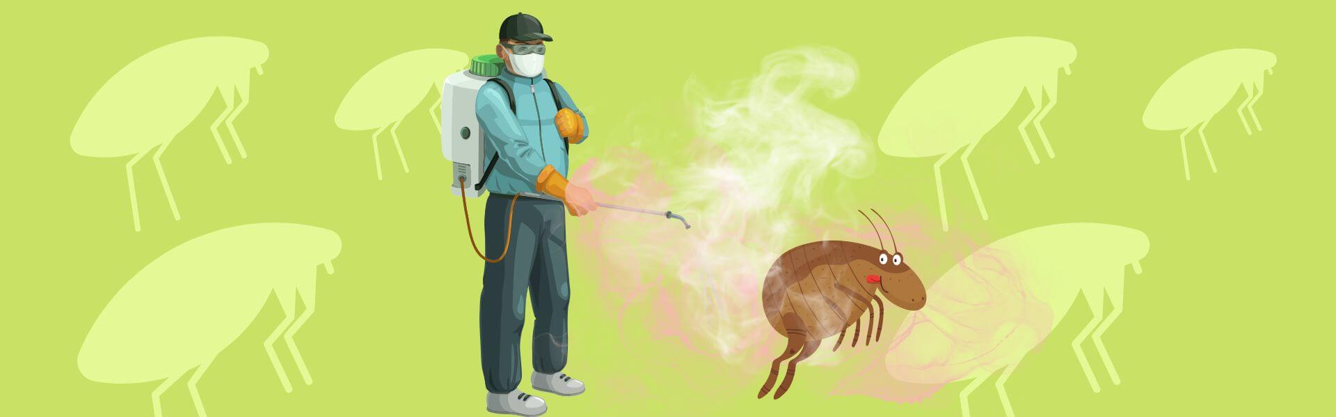 pulgas em pets em Campinas